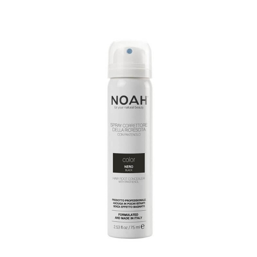 B5 spray correcteur de vit - NOIR x 75ml, Noah