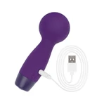AMORELIE Joy "Turn" mini wall massager 1 pc