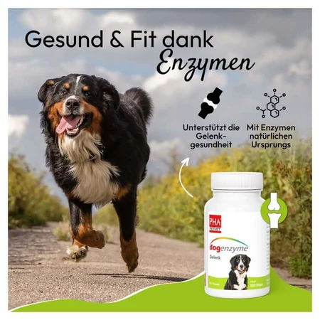 Dogenzyme comun 100 buc