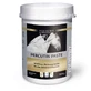 Equistro Percutin Paste external vet. 2 kg