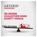 Arterin Cholesterol Tabletten 30 St