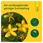 Schoenenberger Naturreiner Heilpflanzensaft St. John's Wort 200 ml