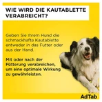 AdTab Hund 1,3 - 2,5 kg Kautablette 3 St