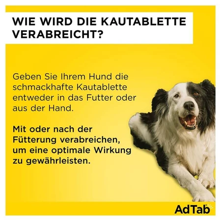 AdTab Hund 1,3 - 2,5 kg Kautablette 3 St