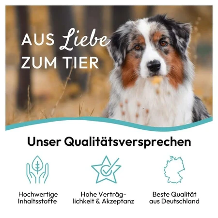 PHA Dentalstick Hunde 7 St