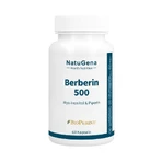 Berberin 500 Myo-inositol & Piperine Vegan Capsules 60 Capsules