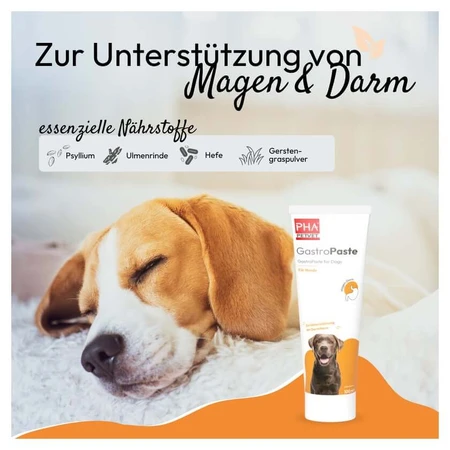 Pha Gastropasta Voor Honden 100 ml