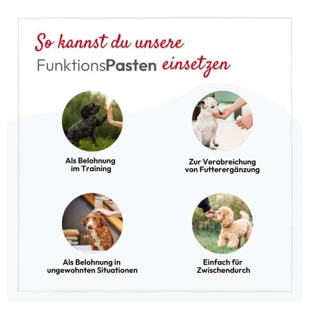 Pha Gastropasta Voor Honden 100 ml