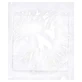 Steriel non-woven wondverband, 10 x 10 cm, 2 stuks