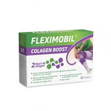 Fleximobil Collagen Boost, 10 bustine, Fiterman