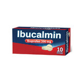 Ibucalmin 200 mg x 10 comprimés pelliculés, LAROPHARM