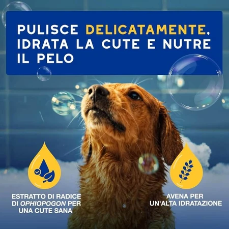 Ceva Animal Health Douxo, S.p.A. - Moisturizing and Nourishing Shampoo for Dogs, 250 ml
