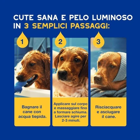 Ceva Animal Health Douxo, S.p.A. - Moisturizing and Nourishing Shampoo for Dogs, 250 ml