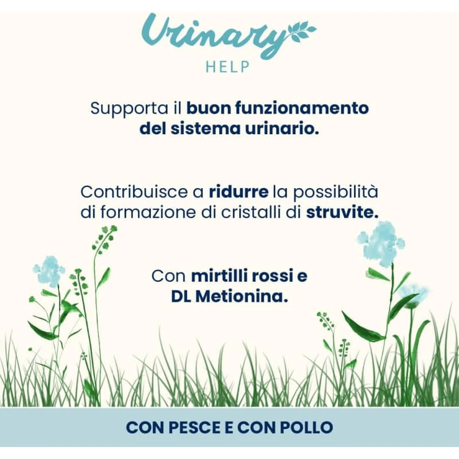 Almo nature Urinary help pește și pui – hrană umedă completă pentru pisici adulte cu probleme urinare, 6 x 70 gr