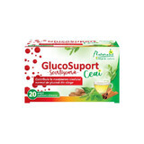 Naturalis GlucoSupport Thee x 20 pl