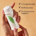 Elizabeth Arden Green Tea - Deodorantcrème met roll-on, 40 ml