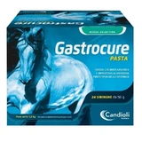 Candioli Gatrocure – Pferdefutterzusatz in Pastenform, 1,2 kg