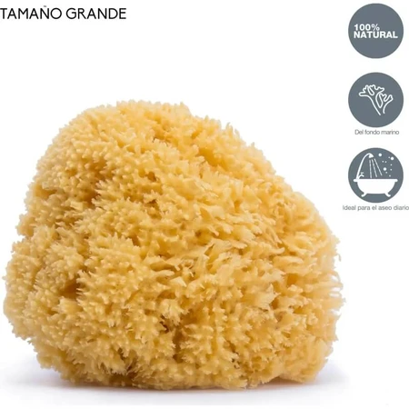 Esponja natural grande Suavinex para bebés a partir de 0 meses