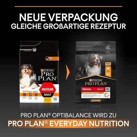 Purina Pro Plan Everyday Nutrition para perros adultos de tamaño mediano a partir de 1 año, con pollo - Pienso completo para perros, 3 kg