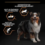 Purina Pro Plan Everyday Nutrition para perros adultos de tamaño mediano a partir de 1 año, con pollo - Pienso completo para perros, 3 kg