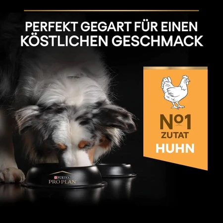 Purina Pro Plan Everyday Nutrition para perros adultos de tamaño mediano a partir de 1 año, con pollo - Pienso completo para perros, 3 kg