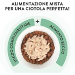 Schesir Complements : lamelles de thon et gelée d'aloès - Aliment complet pour chat, 70 g