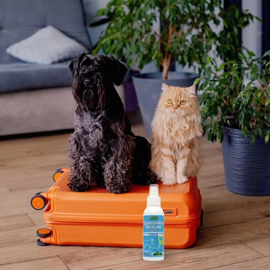 Petformance – spray do szczotkowania zębów dla psów i kotów, 94 ml: ceny i cechy