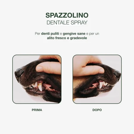 Petformance – spray do szczotkowania zębów dla psów i kotów, 94 ml: ceny i cechy