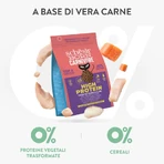 Schesir Born pentru pisici carnivore, cu pui, hering și somon – hrană completă pentru pisici adulte, 255 gr