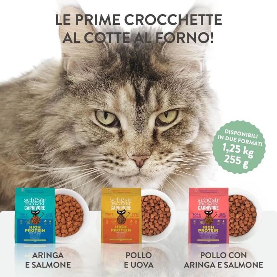 Schesir Born pentru pisici carnivore, cu pui, hering și somon – hrană completă pentru pisici adulte, 255 gr