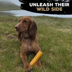 Leckerer Yak-Käse-Knochen – Hundespielzeug