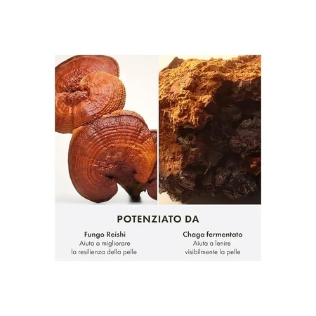 Origins Mega-Mushroom – Beruhigende, regenerierende und feuchtigkeitsspendende Nachtcreme für das Gesicht, 50 ml