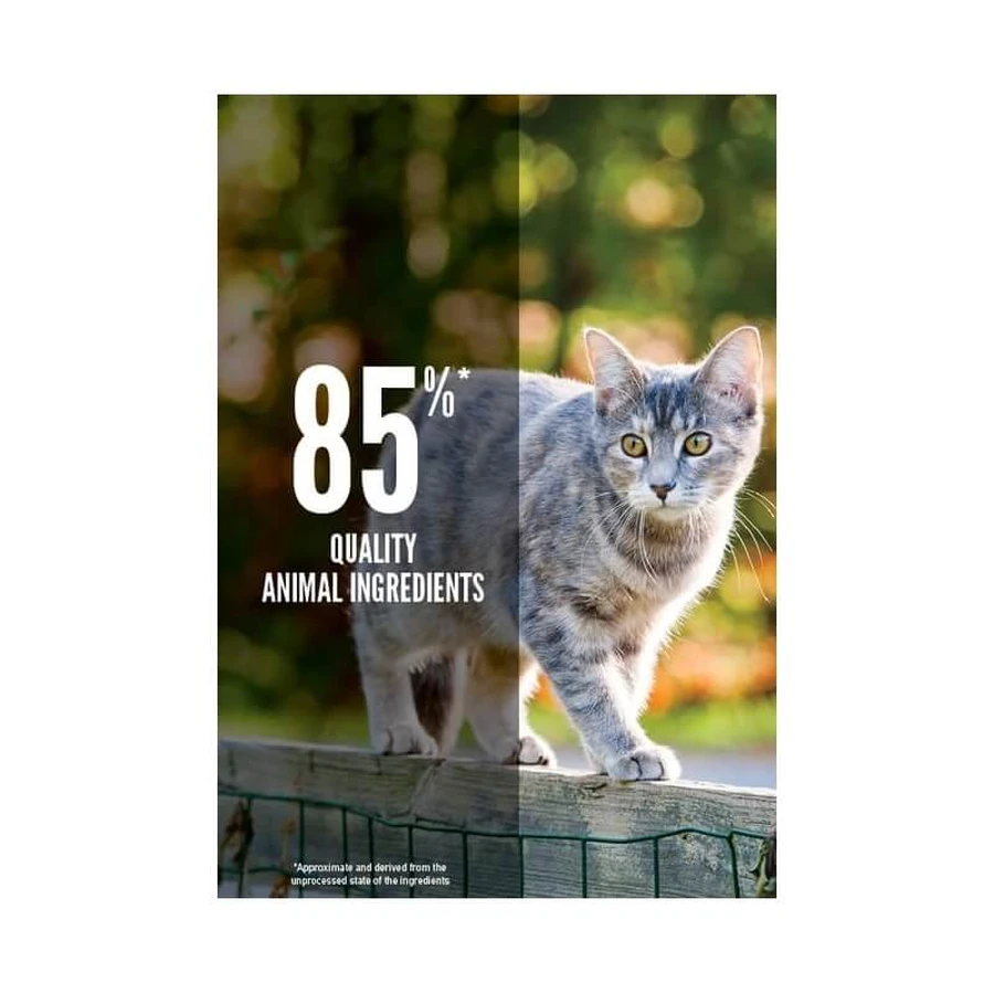 Orijen Cat original- alimento completo per gatti di tutte le taglie e tutte le fasi di vita 340 gr