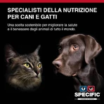 Dechra Specific fid digestive support – hrană dietetică completă pentru pisici, cu efect benefic asupra digestiei și sistemului urinar, 400 g