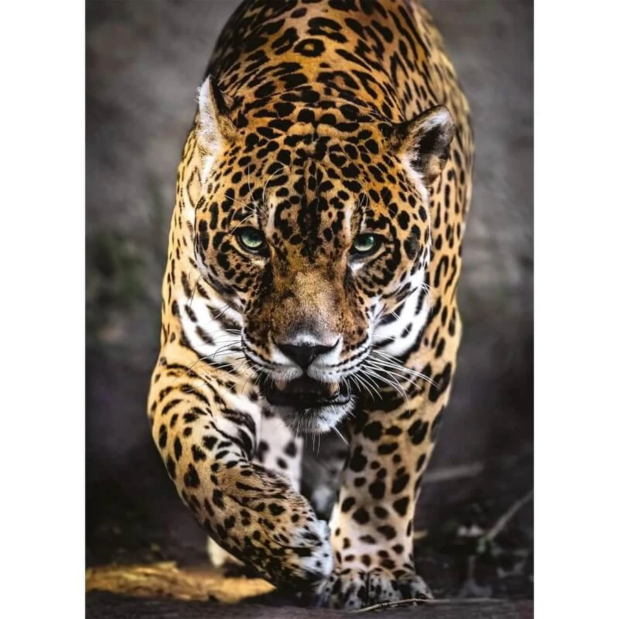 Clementoni Walk of the jaguar puzzle per adulti da 1000 pezzi