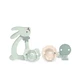 Set de regalo Suavinex Wonder: 2 chupetes (0-6 meses), un clip y un anillo de dentición verde
