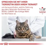 Royal Canin Expert Neutered Satiety Balance - Droogvoer voor gecastreerde katten tot 7 jaar oud, 3,5 kg
