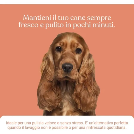 Bau Cosmetics – Gel de curățare fără clătire pentru câini, cu aromă de piersică, 250 ml