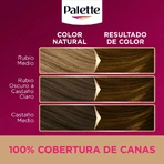 Palette Intensive Color Creams - Permanent Hair Dye No. 5.5 Luminous Brown