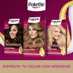 Palette Intensive Color Creams - Permanent Hair Dye No. 5.5 Luminous Brown