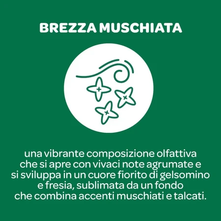 Borotalco puro con aroma a brisa almizclada - Desodorante en spray de 48 horas, 150 ml