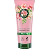 Herbal Essences Rose Scent - Conditioner for Soft, Shiny Hair, 200 ml