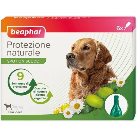 Beaphar Spot-on Shield - Protection naturelle pour grands chiens adultes pesant plus de 30 kg, 6 flacons