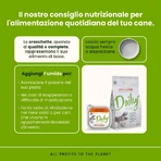 Almo Nature Daily Menu Veau et carottes - Nourriture humide pour chiens adultes, 300 g