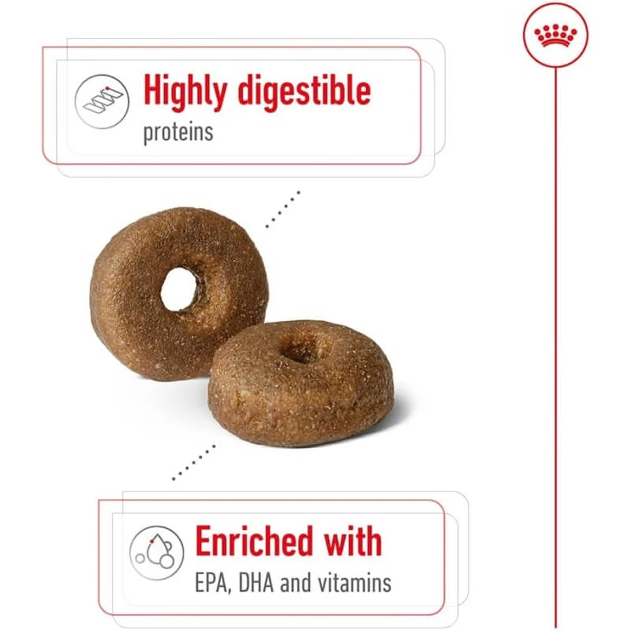 Royal canin Maxi ageing 8 più - alimento completo per cani adulti di grande taglia oltre 8 anni di età 15 kg