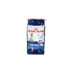 Royal canin Maxi ageing 8 più - alimento completo per cani adulti di grande taglia oltre 8 anni di età 15 kg