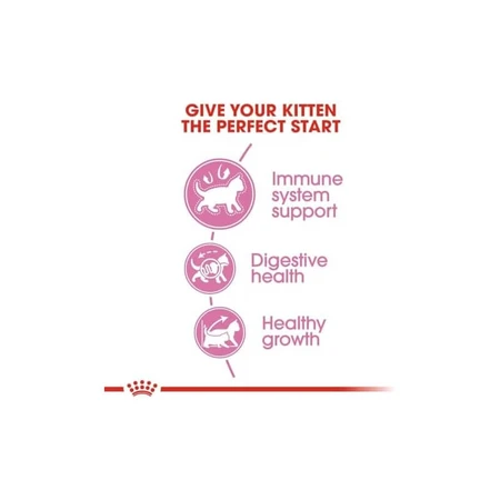 Royal Canin Kitten 36 – hrană completă pentru pisoi, 2 kg