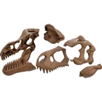 Clementoni Archeogiocando 19324 – Gigantyczna czaszka T-Rexa i szkielet 2 w 1 – zabawka naukowa: ceny i cechy