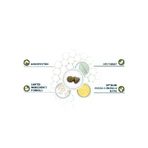 Forza10 Forza 10 periaction active vet diet periaction al pesce - alimento dietetico completo per cani 10 kg