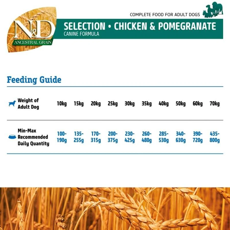 Farmina N&amp;d Ancestral Grain Chicken and Pomegranate - Complete Food for Medium and Maxi Adult Dogs, 15 kg